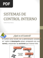 1.3. Sistemas de Control Interno