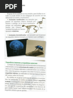 Ciencias Naturales4° Grado