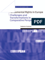 Fundamental Rights in Europe PDF