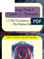 Biology Form 5 Chapter 1 - Transport: 1.2 The Circulatory System - The Human Heart