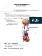 Blood Pressure Regulation