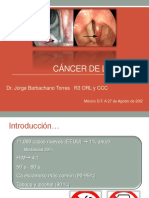 Cáncer Laringe 2012