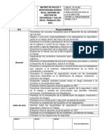 Documento 2 Matriz de Roles y Responsabilidades