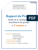 Cosmoos PDF