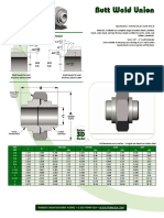 Butt Weld Tuerca Union