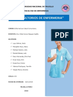 Informe Consultorios de Enfermeria