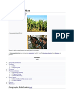 Banana Plantation: Geographic Distribution