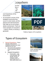 Ecology and Ecosystem