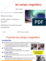 T5 X Fuentes Del Campo Magnetico