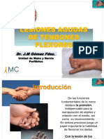 09 Les Flexores Es PDF