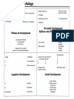 Developmental Graphic Organizer