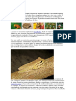 Tipos de Ranas