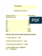 Possessive Pronouns