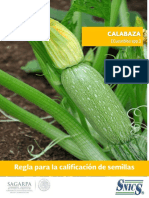 Cultivo Calabaza