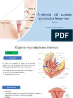 Aparato Reproductor Femenino Obstetricia