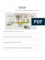 Clase 1 Guiadeactividades - Ciclodelcarbono