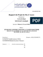 Rapport Pfa Fin PDF