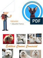 Programa Estetica Canina