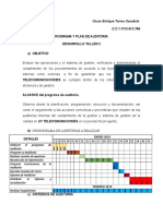 Taller Programa y Plan de Auditoria