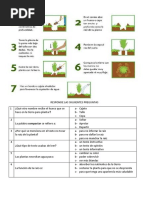 Texto Instructivo