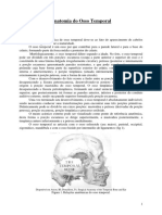 Anatomia Do Osso Temporal