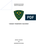 Informe Titulo - CARGUIO-TRANSPORTE