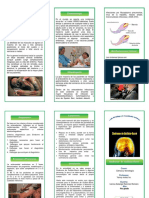 Triptico Sindrome de Guillain Barré