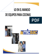 Cocinas Industriales INPSASEL1 PDF