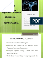 Anatomy and Physiology Applied To Obstetrics ADMW 3/2019: Kumpulan 10