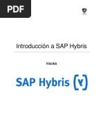 Introduccion A Hybris