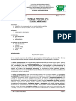 T.P. #6 Tejidos Vegetales PDF