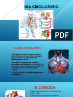 Sistema Circulatorio