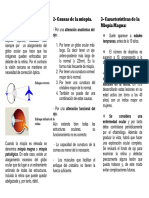 Miopiamagna PDF