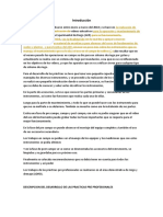 Informe Practicas Cortas Preprofesionales - REV