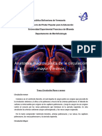 Anatomia Macroscopica de La Circulacion Mayor y Menor