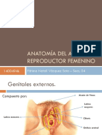  Anatomía Del Aparato Reproductor Femenino