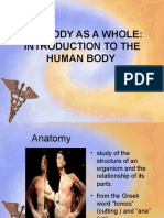 The Body As A Whole: Introduction To The Human Body