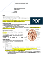 TCP Anato 2 Clase 2 PDF