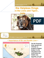 Call of The Helpless Kings: Help Save The Lions and Tigers, India