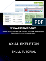 Axial Skeleton Tutorial SKULL