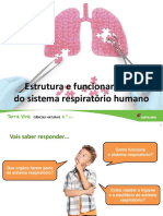 U6 Estrutura Funcionamento Sistema Respiratorio Humano Final