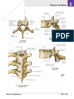 Thoracic Vertebrae : T6 Vertebra: Superior View T6 Vertebra: Lateral View