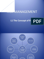 Risk Management: L1 The Concept of Risk