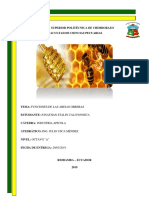 Funciones de Las Abejas Obreras