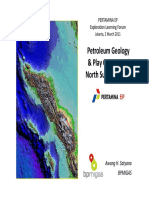 NSB Petrogeo & Play Concepts (Satyana, 2011) PDF