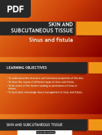 Sinus, Fistula