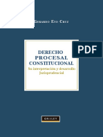 Indice Derecho Procesal Constitucional PDF