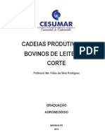 CADEIAS PRODUTIVAS DE Bovino Leiteiro e de Corte PDF