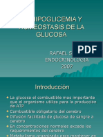 Hipoglicemia y Homeostasis de La Glucosa