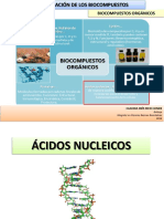 Ácidos Nucleicos PDF